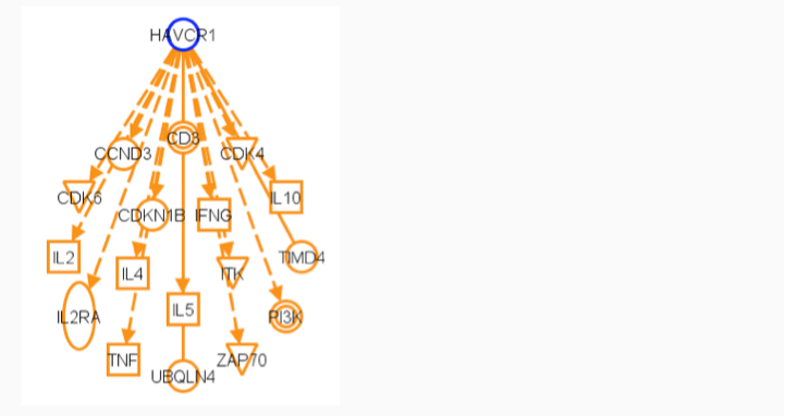 Havcr1 (Mammalian) Pathways and Mechanism Tree (outgoing/downstream molecules)